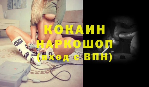 герыч Алексин