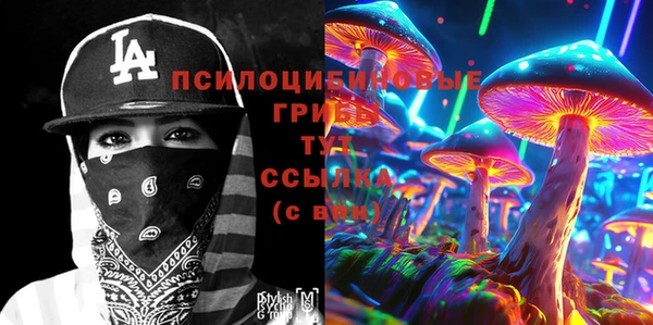 герыч Алексин