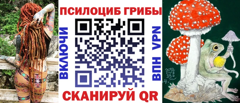 blacksprut зеркало  Щёлково  Псилоцибиновые грибы Psilocybine cubensis 
